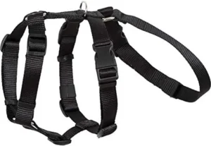 Correa de Entrenamiento para Perros