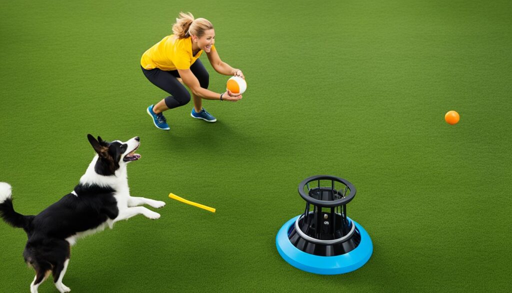 ejercicios de obediencia canina